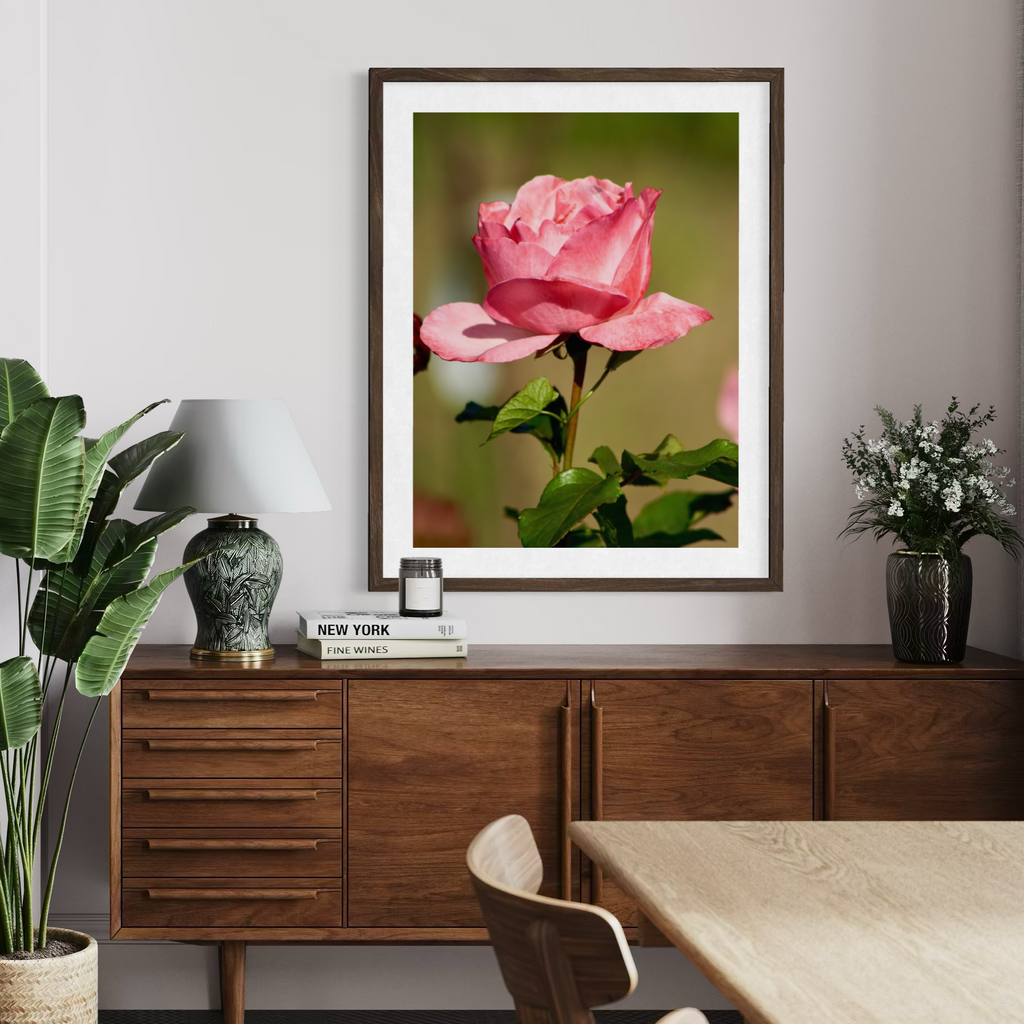 Rose ensoleillée