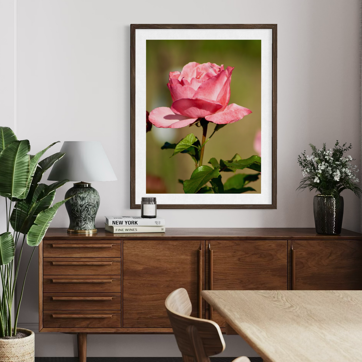 Rosa iluminada por el sol
