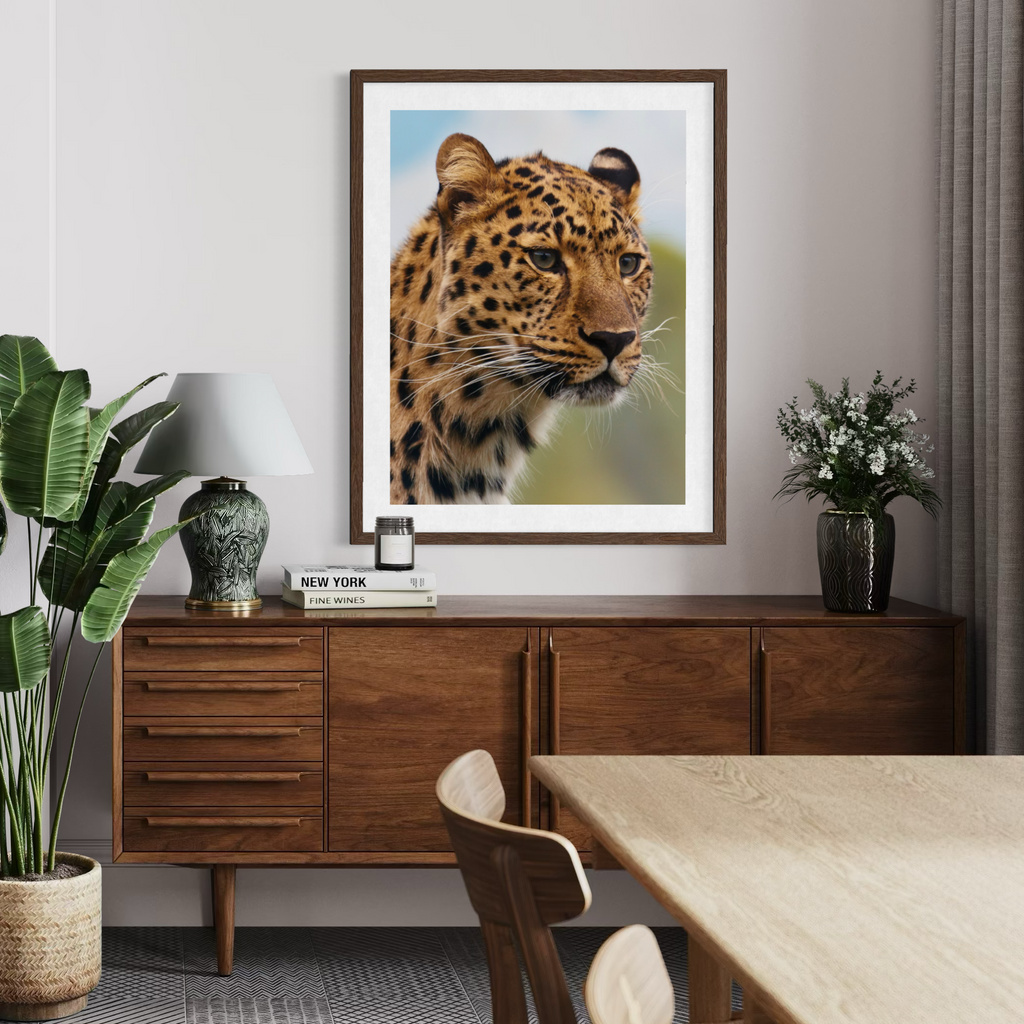 Leopard in the Wild