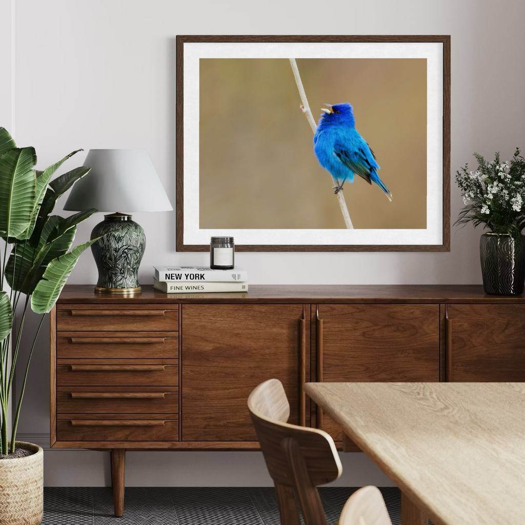 Indigo Perch