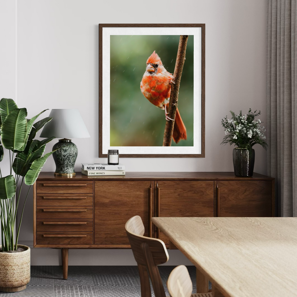 Northern Cardinal I