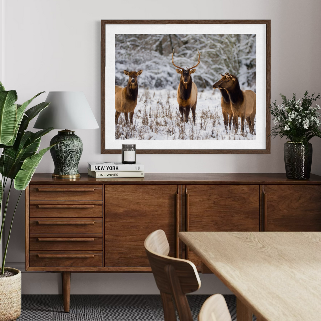 Wintry Companions
