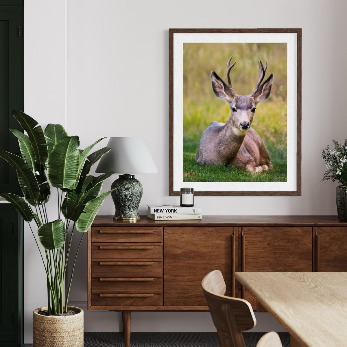 California Mule Deer