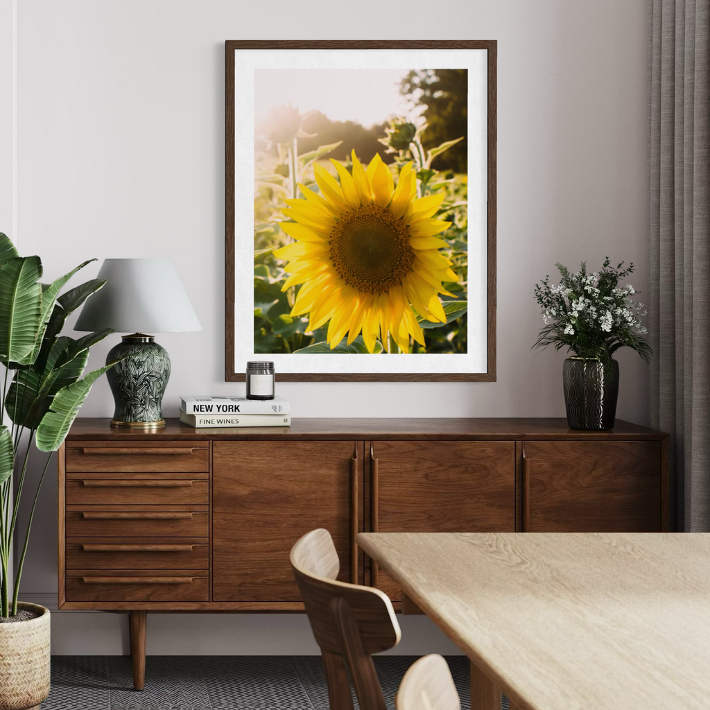 Summer Sunflower