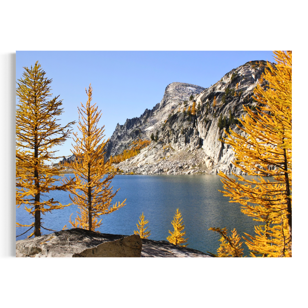 A wall art print or canvas showing a mountain lake landscape with golden yellow larchwood trees in the foreground and a blue sky above, displayed against a plain white background.