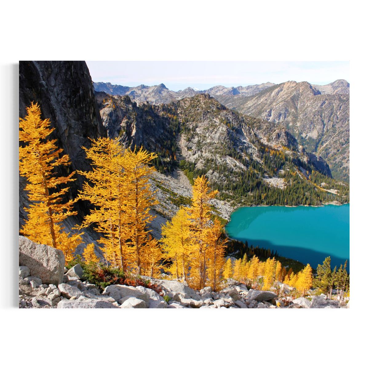 A rectangular wall art print or canvas showing a mountain landscape with bright yellow larchwood trees in the foreground, rocky slopes, and a vivid turquoise lake under a pale sky.