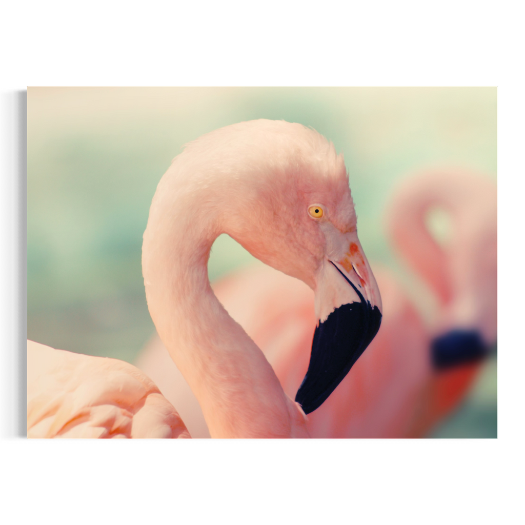 A wall art print featuring a close-up photograph of a pink flamingo with a black-tipped beak, shown against a soft blurred tropical background. The print is presented on a clean white background.