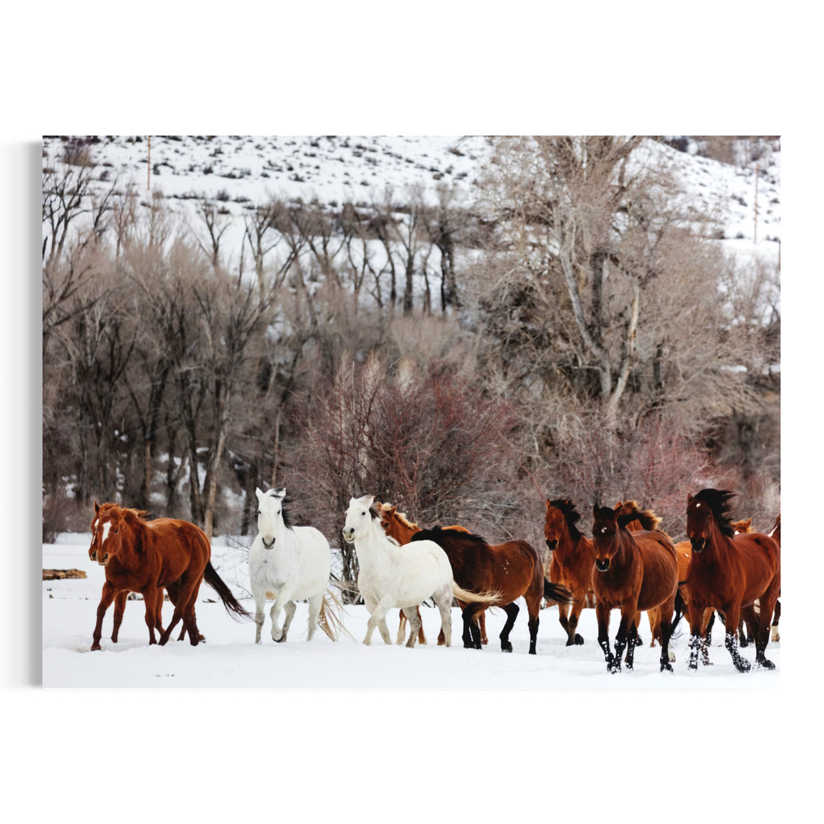A rectangular wall art print showing a herd of horses walking through snow, with bare trees and a snowy hill in the background. The print is displayed against a plain white wall.