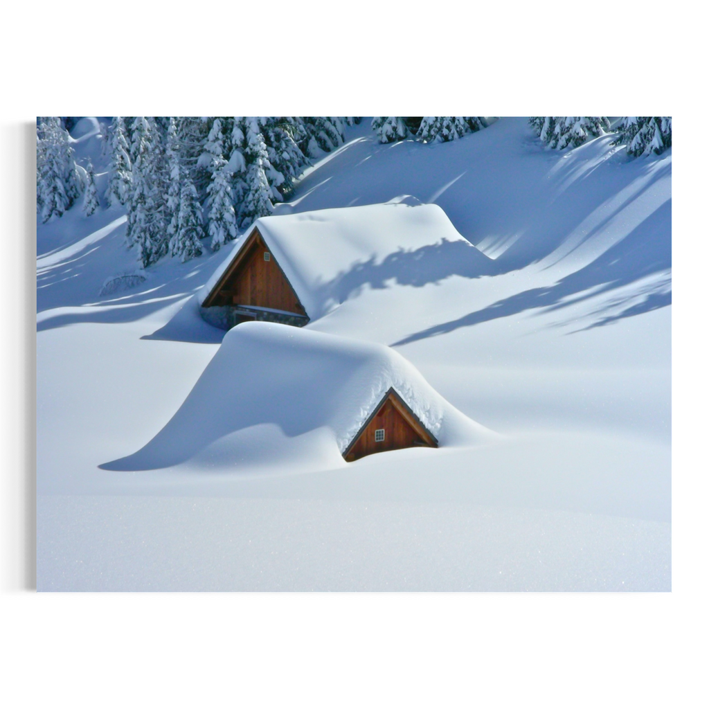 Snowed In