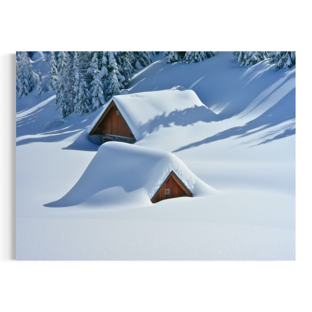 Snowed In