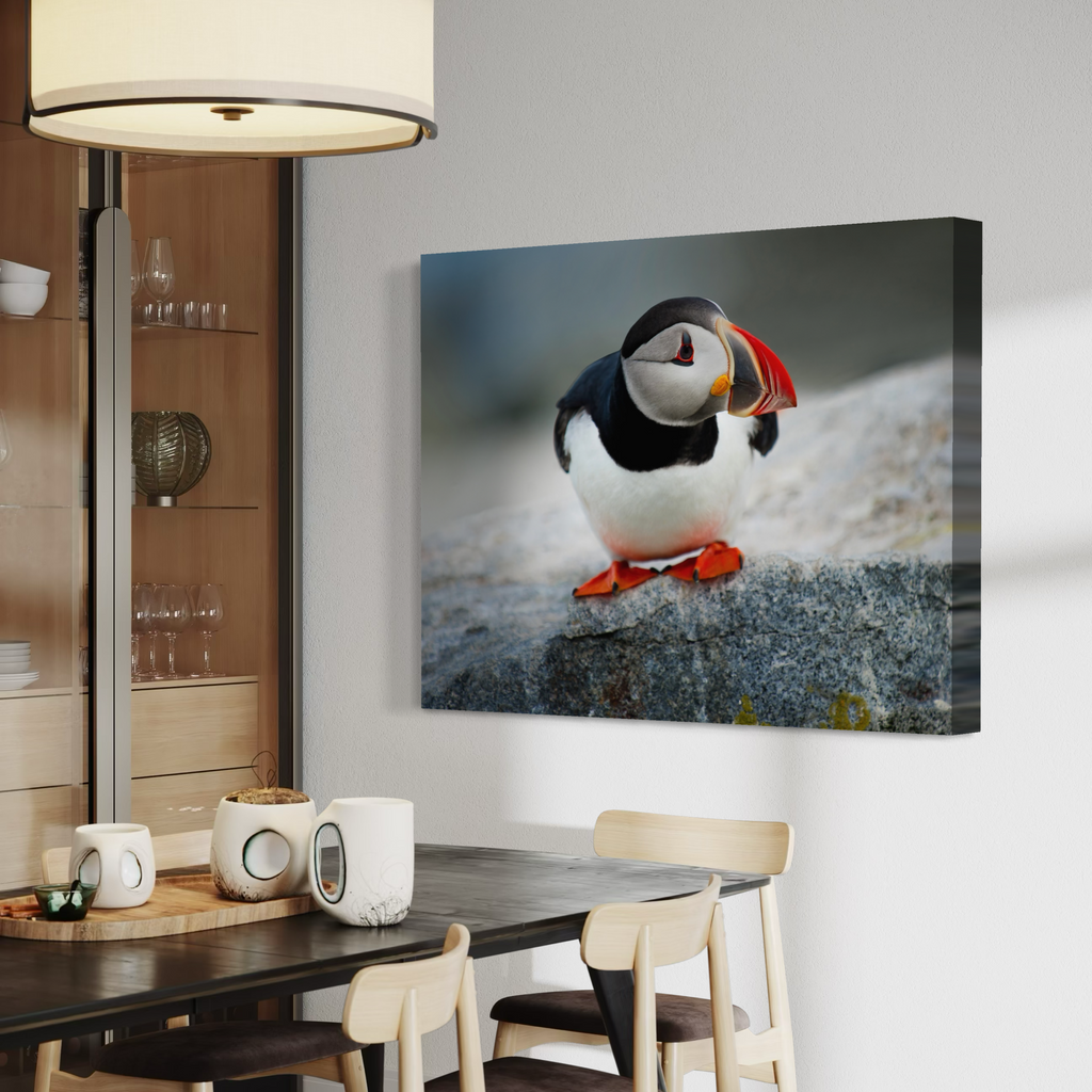 A wall art print showing a puffin standing on a rock, displayed in a modern dining room setting above a dark wood table with chairs and white mugs.