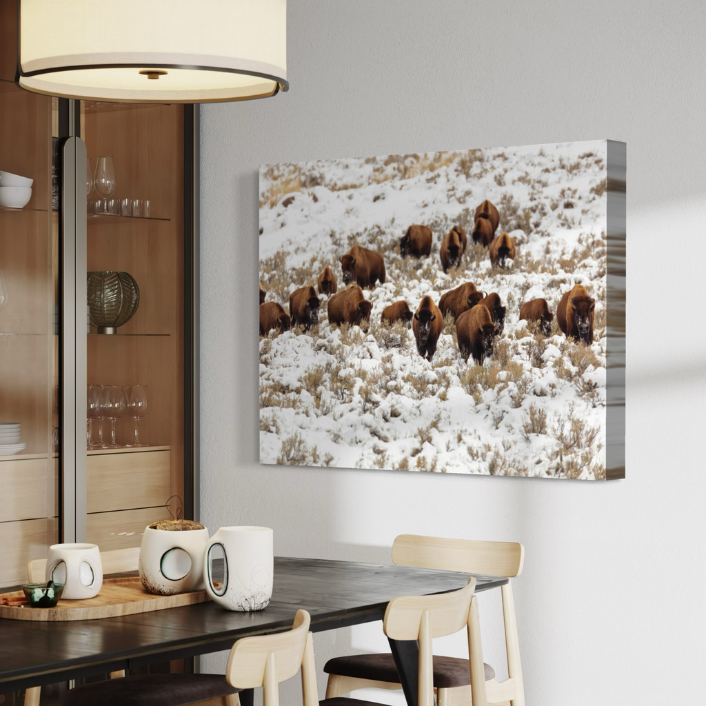 A rectangular canvas wall art print showing a herd of brown bison walking through a snowy field, displayed on a light gray wall above a dining table in a modern interior setting.