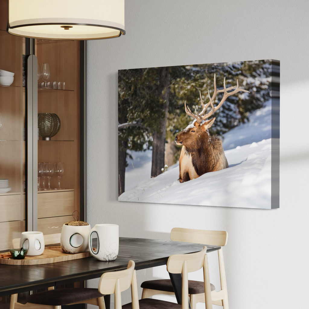A canvas wall art print showing a brown elk stag with large antlers sitting in a snowy forest, displayed on a light gray wall above a dining table in a modern interior.