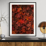 Vibrant Autumn Leaves