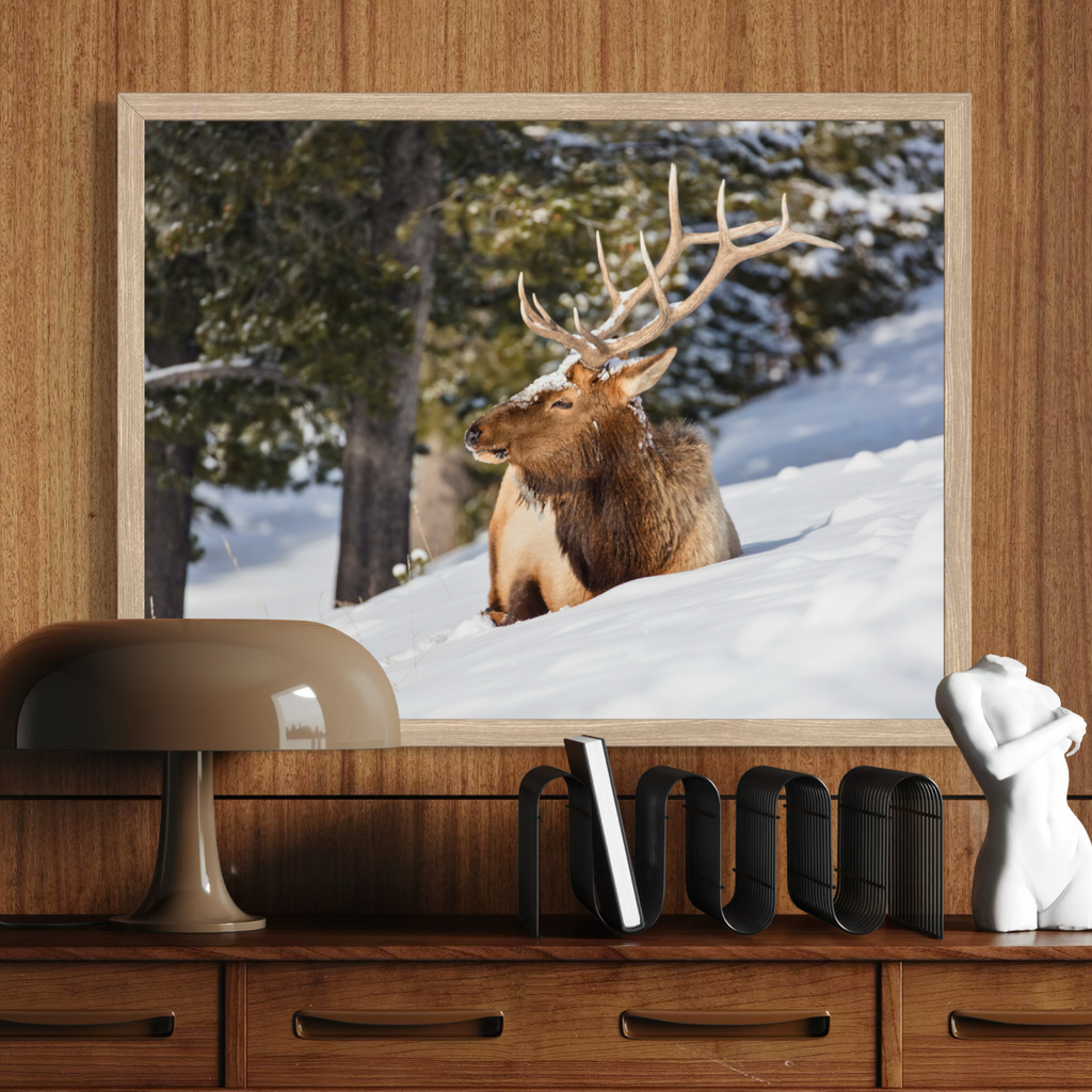 A wooden framed wall art print depicting a brown elk with large antlers sitting in a snowy forest, displayed on a wooden console table above a lamp and decorative objects.