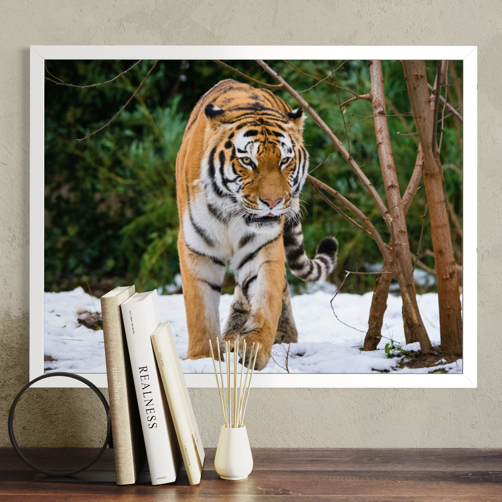 A framed wall art print showing a tiger walking through snowy trees, displayed on a beige wall above a wooden surface with books and a small vase.