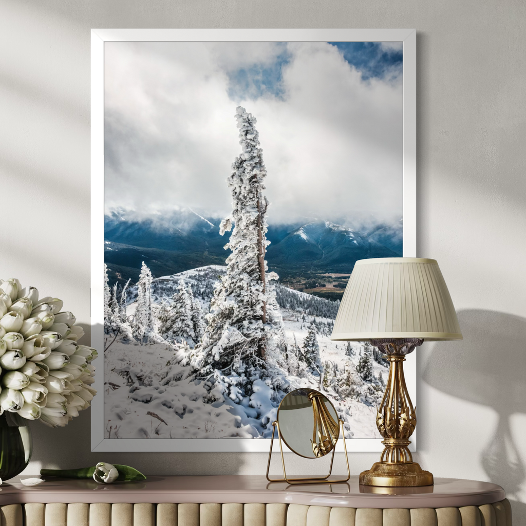 Winter Evergreen