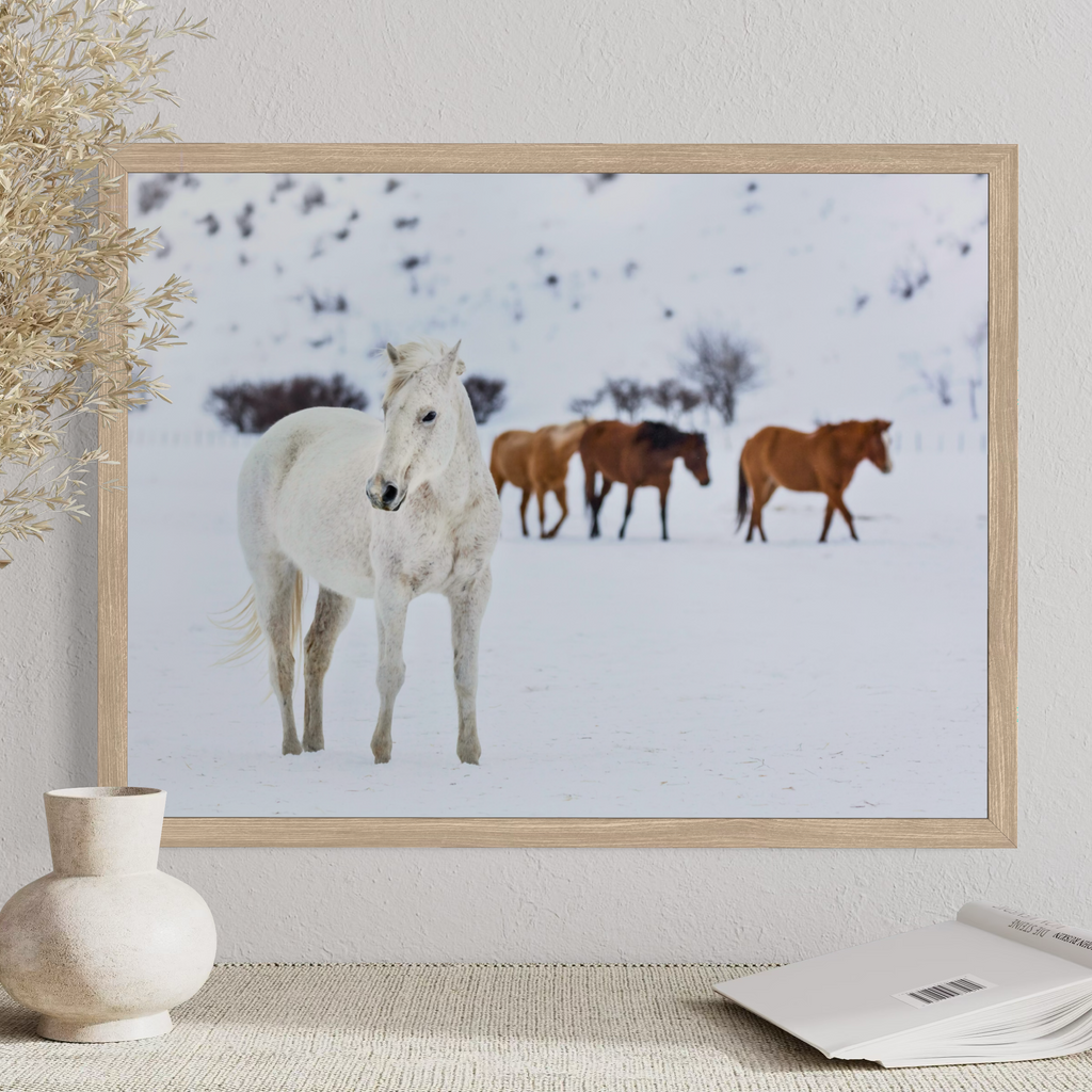 A framed photographic print of horses in a snowy outdoor scene, displayed on a tabletop against a light wall with a vase and book as props.