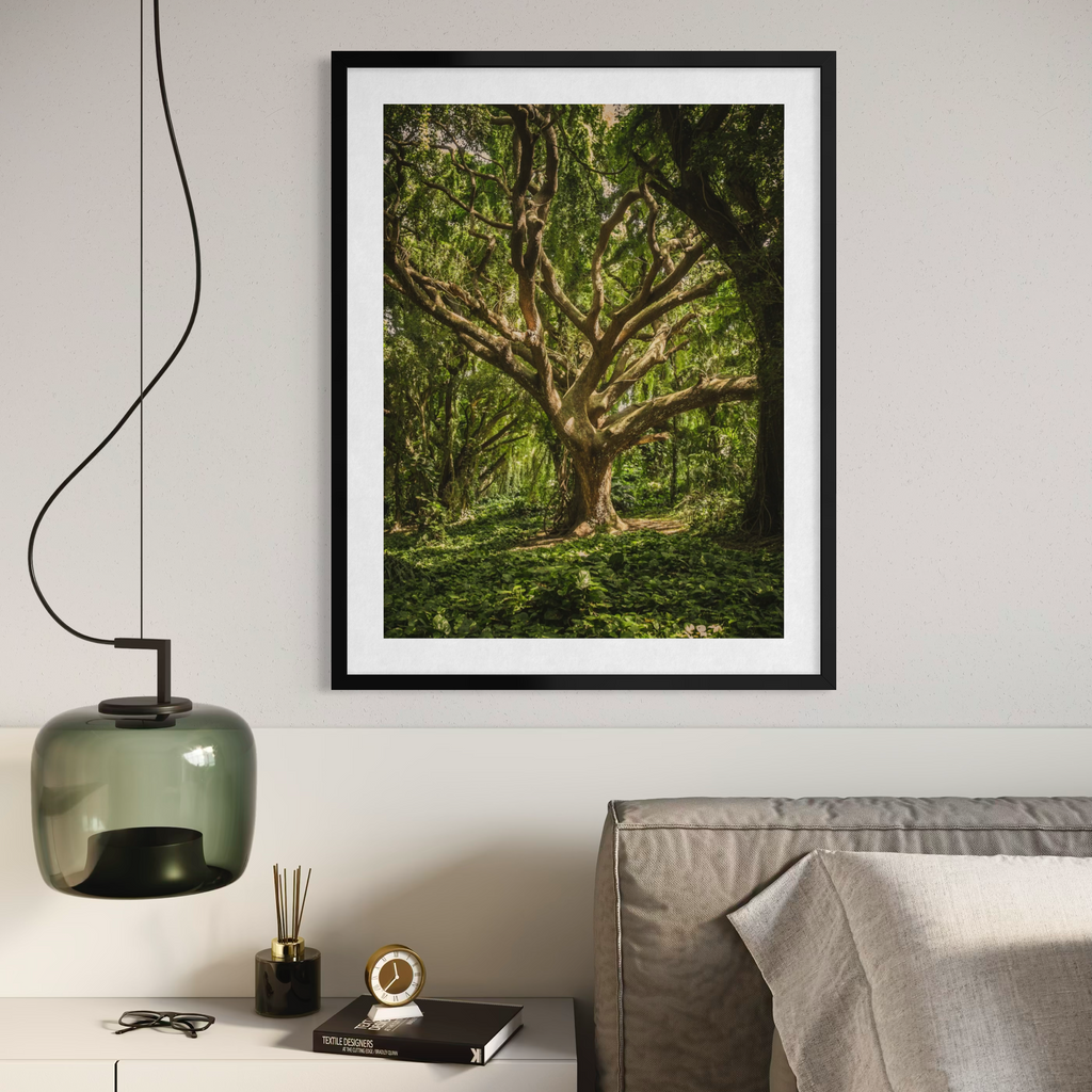Bosque iluminado por el sol