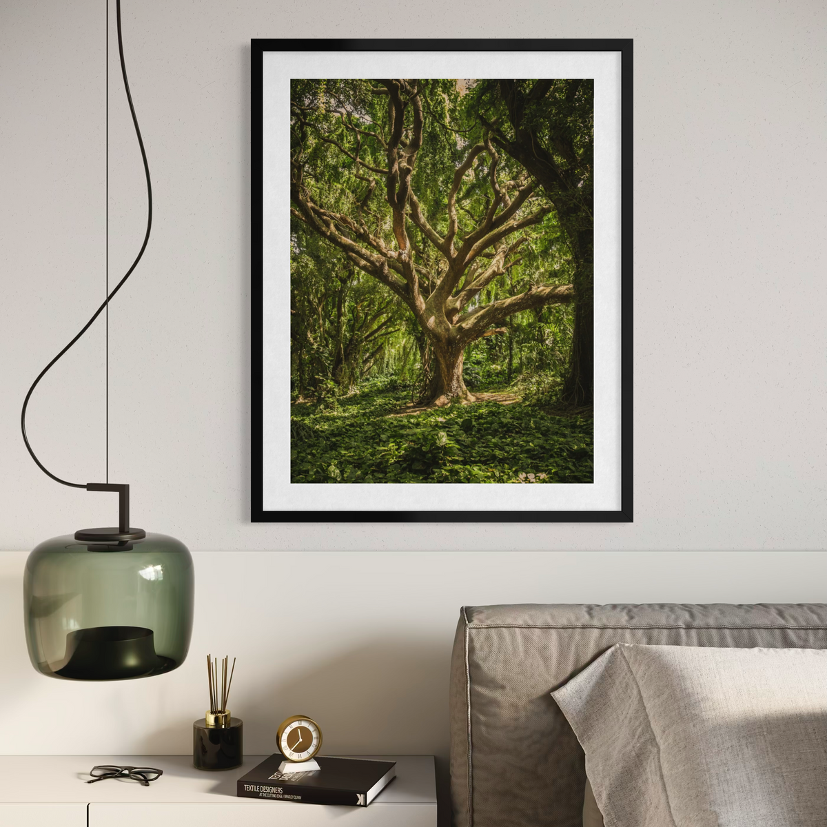Bosque iluminado por el sol