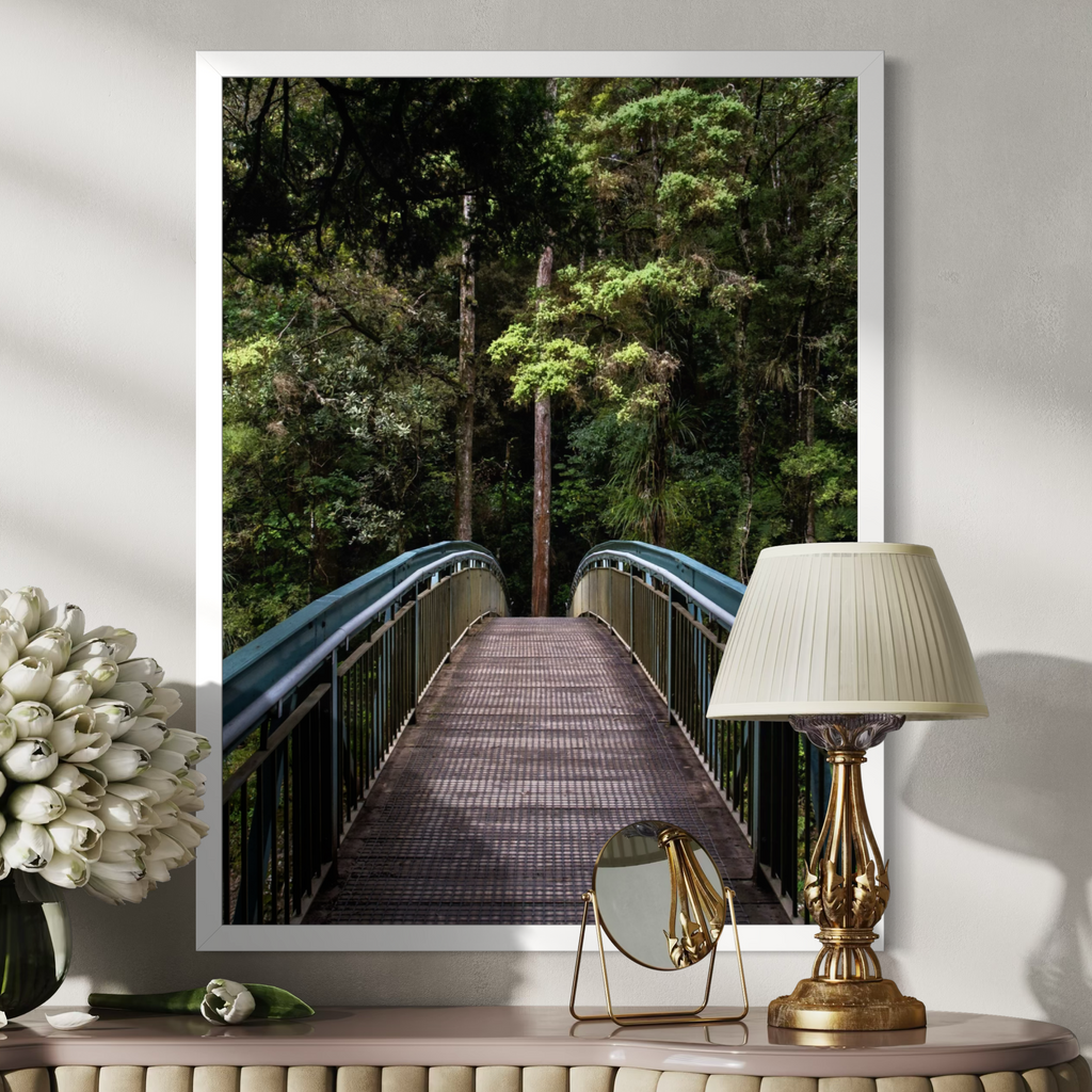 Whangarei Falls Walkway