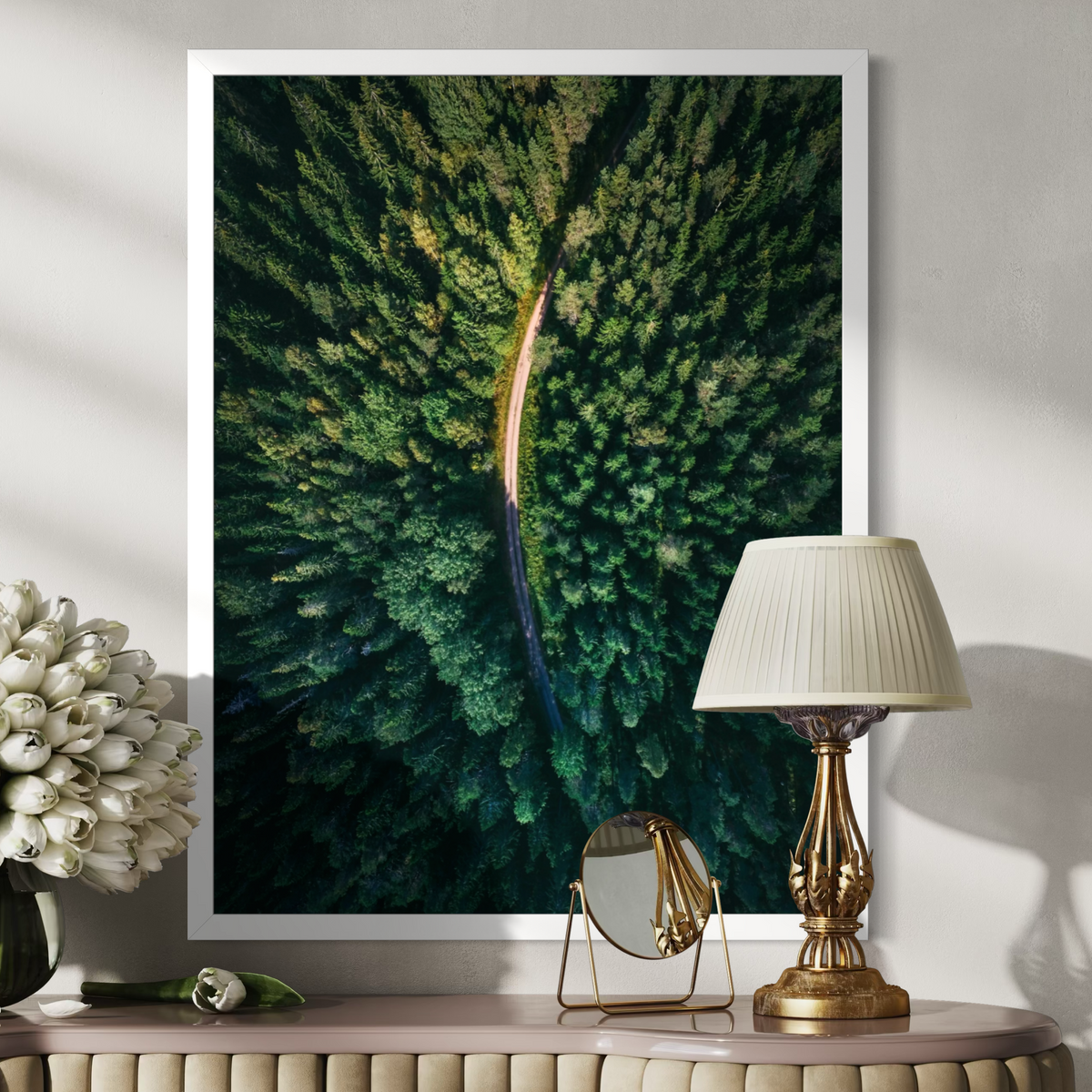 Forest From Above