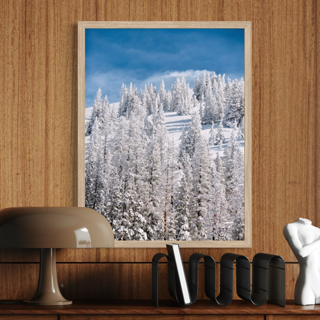 Frosted Evergreens