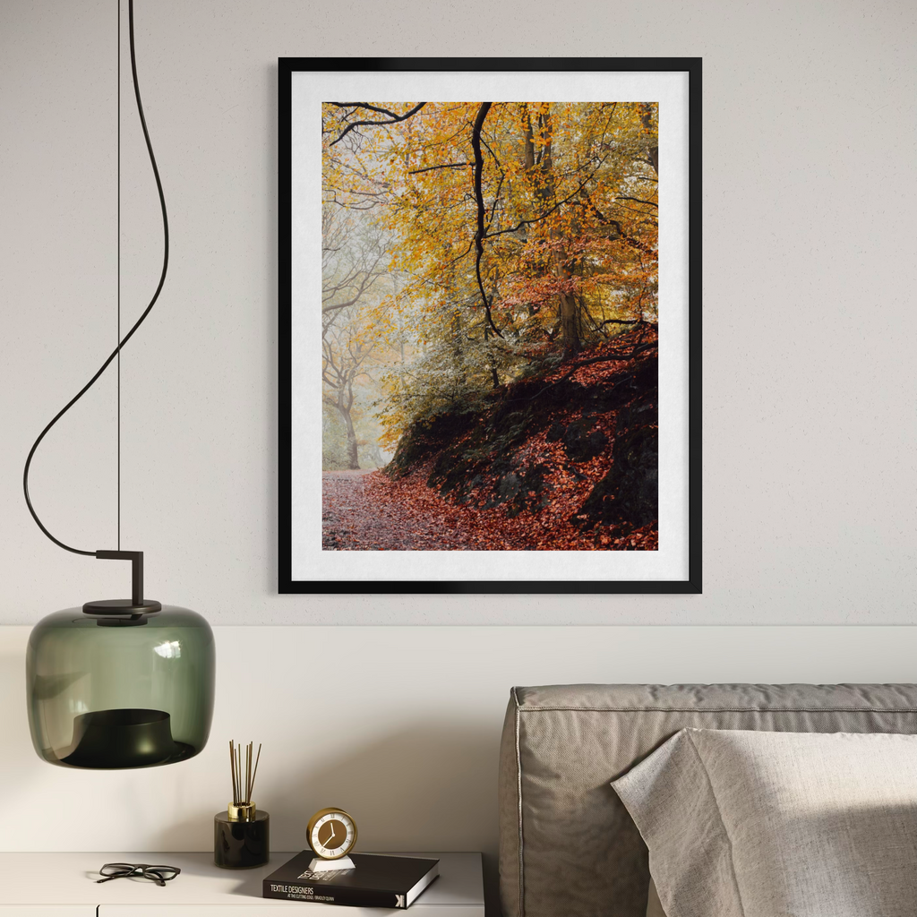 Autumn's Colorful Path