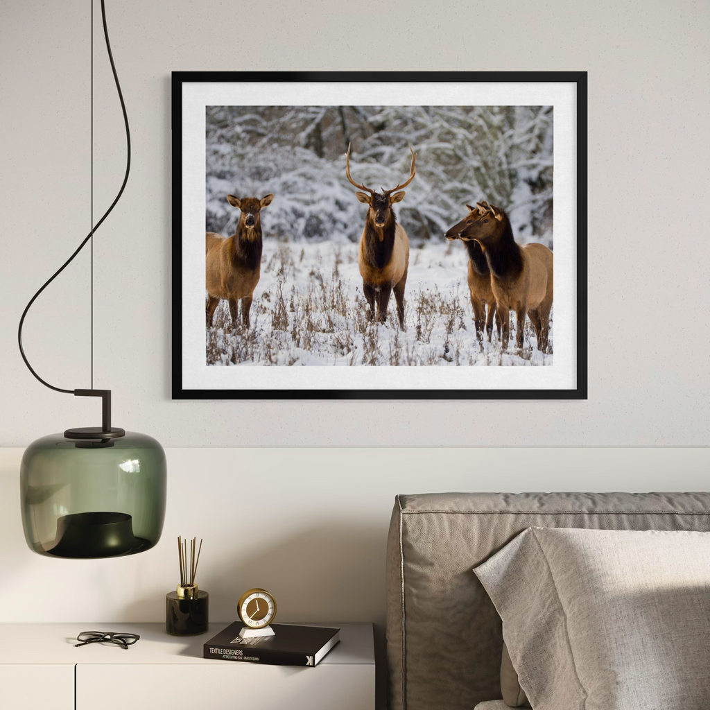 Wintry Companions