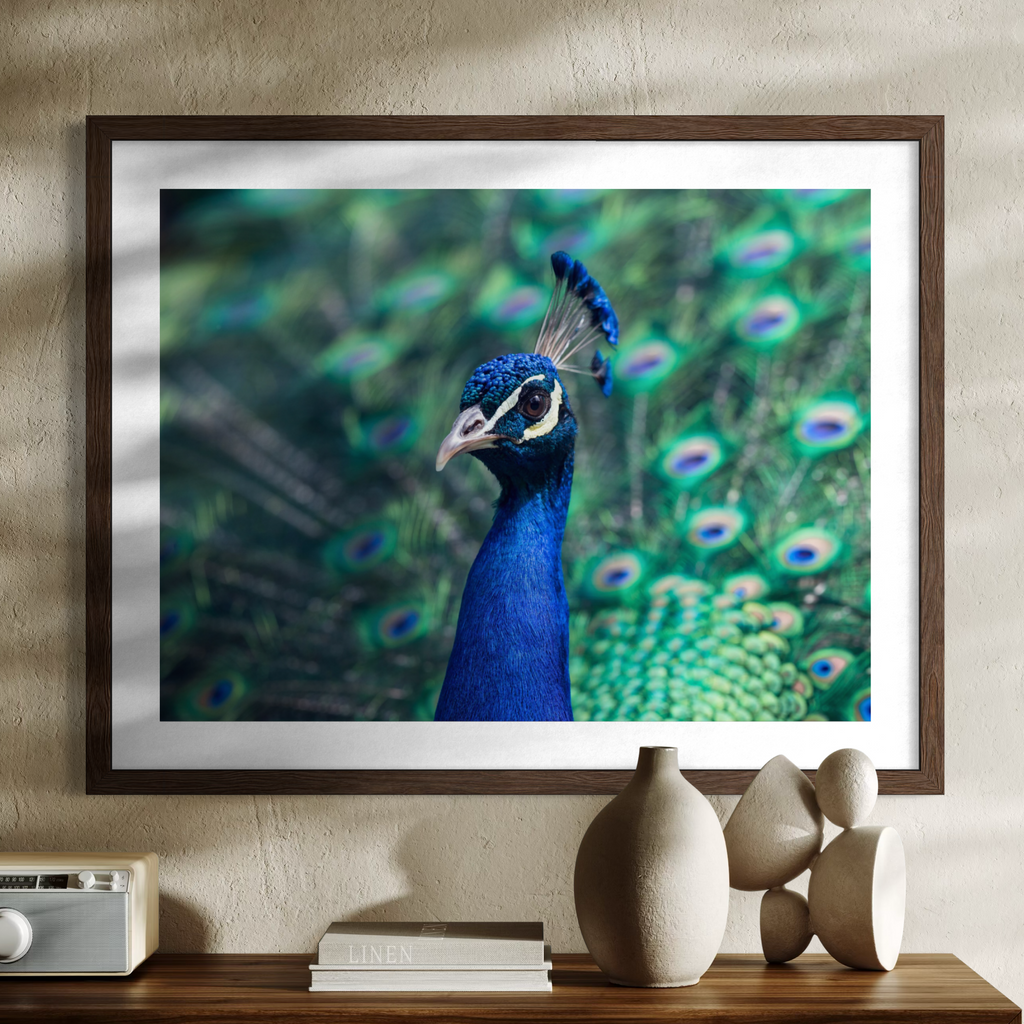 A framed wall art print featuring a close-up photograph of a peacock with vivid blue neck and green peacock feathers in the background, displayed above a console table with decorative vases and books.