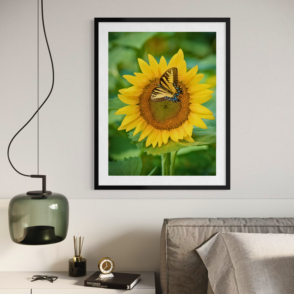 Mariposa y flor