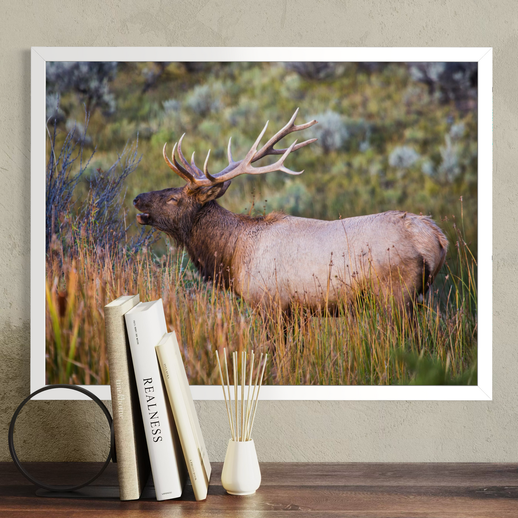 A white framed wall art print showing a large elk standing in tall grass, displayed on a beige wall above a wooden surface with books and a reed diffuser in front.
