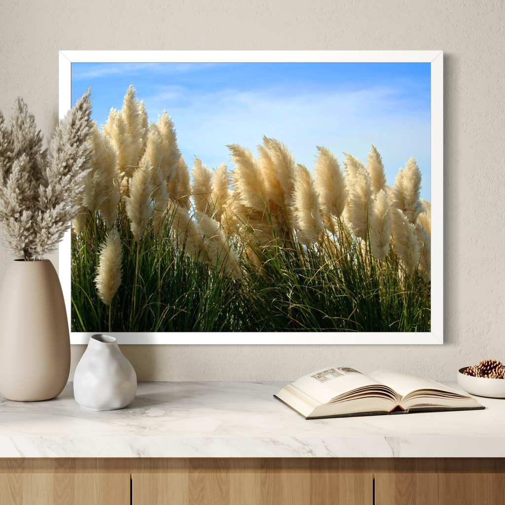 Pampas in the Breeze