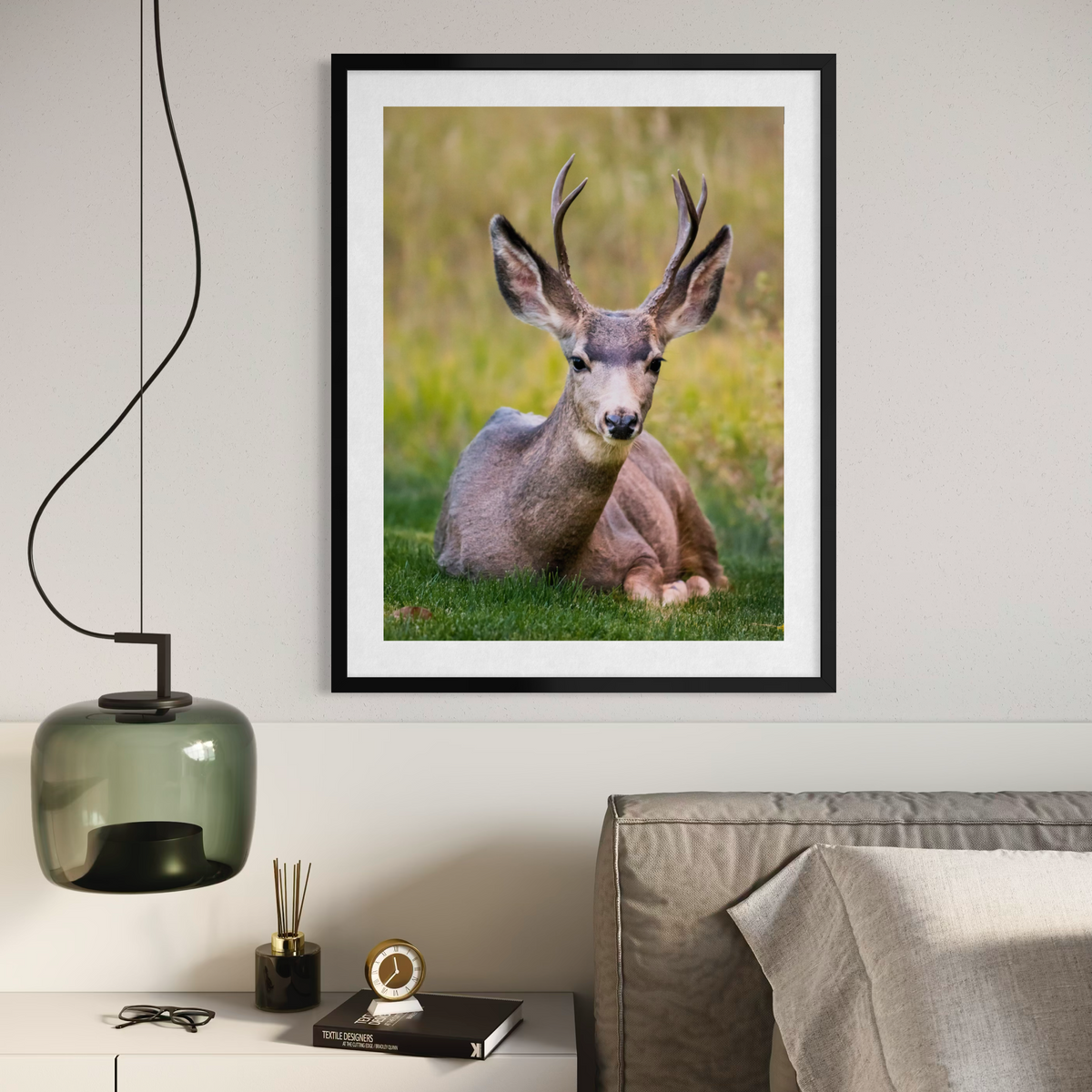 California Mule Deer
