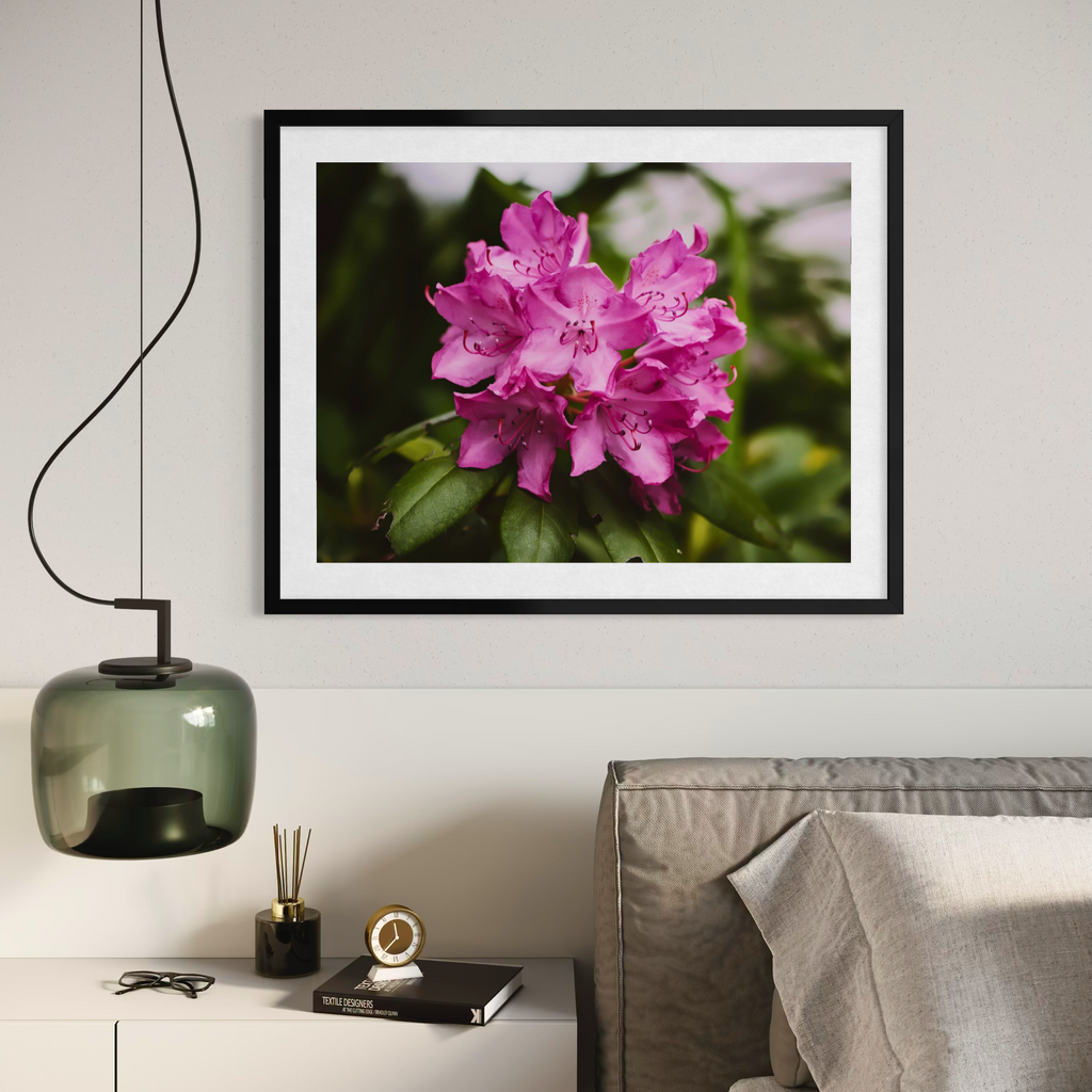 Azalea de primavera