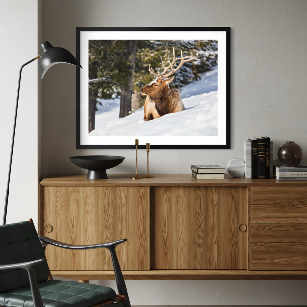 A black framed wall art print of a brown elk standing in a snowy forest, displayed on a light gray wall above a wooden credenza in a modern living room setting.
