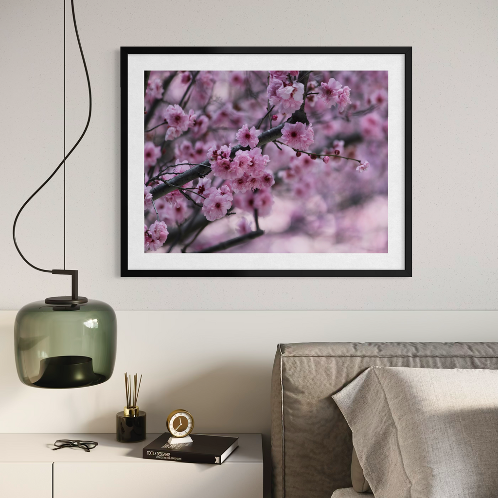 Cherry Blossom Dreams