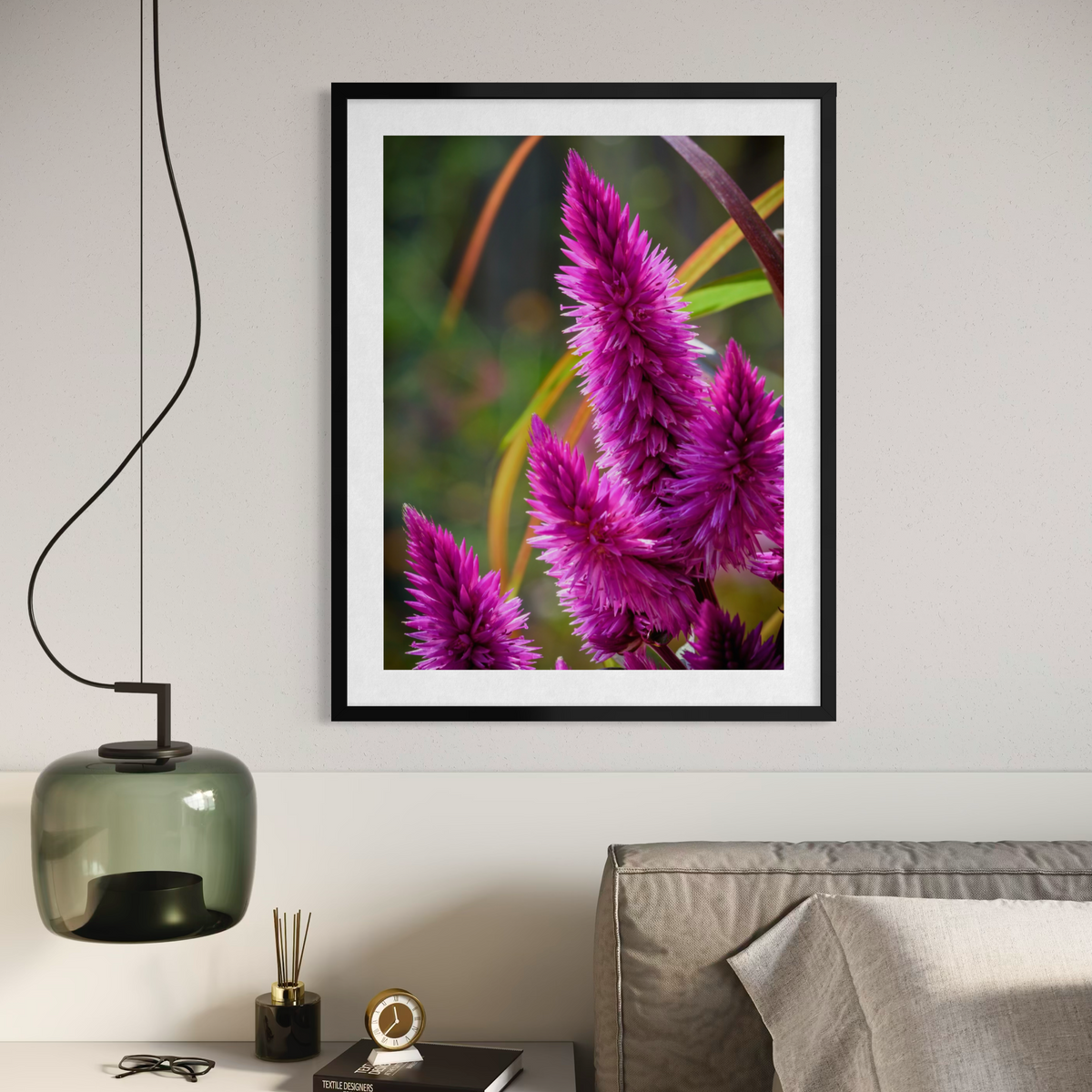 Celosia en flor