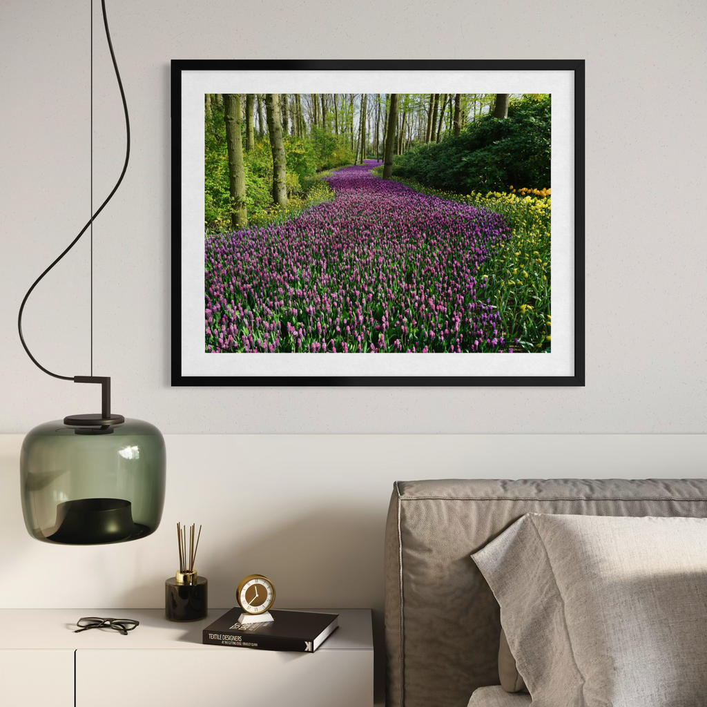 Camino de la lavanda