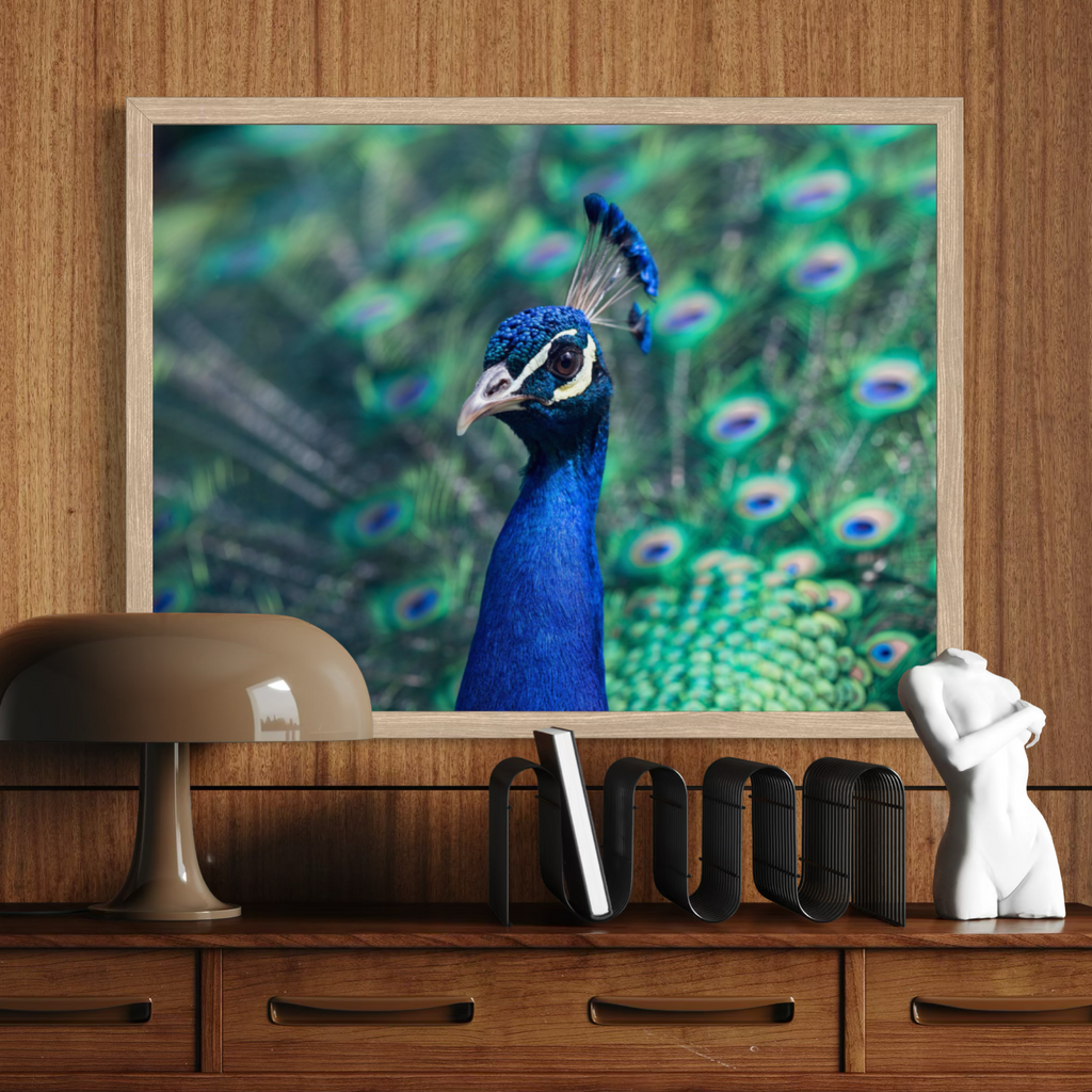 A framed wall art print featuring a close-up photograph of a blue peacock with green and purple feather eyes, displayed on a wooden console above a lamp and decorative objects.