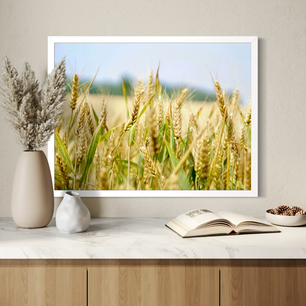Grains of Summer
