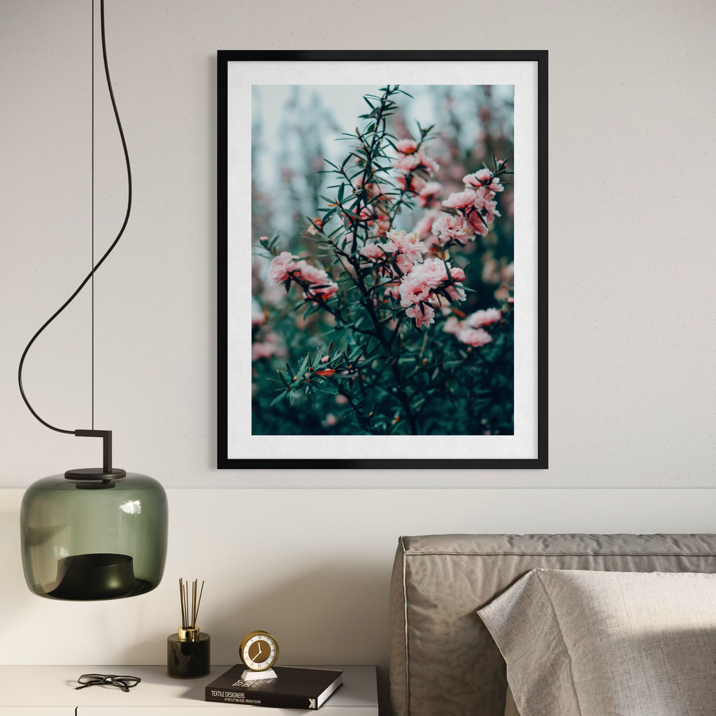 Manuka en flor