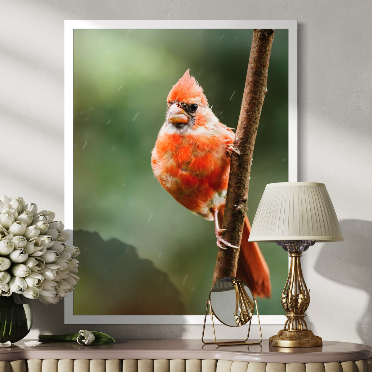 Northern Cardinal I