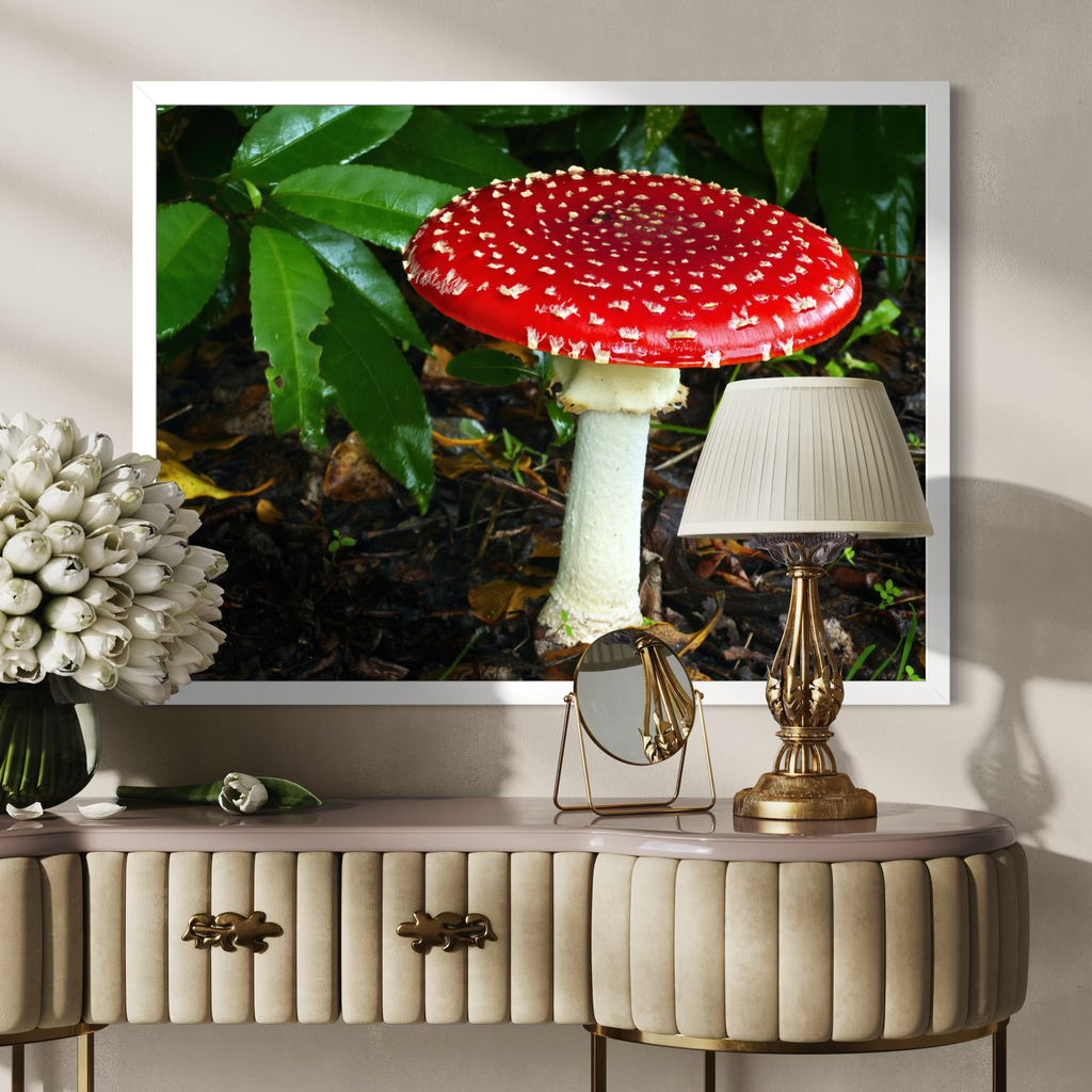 Amanita en ascenso