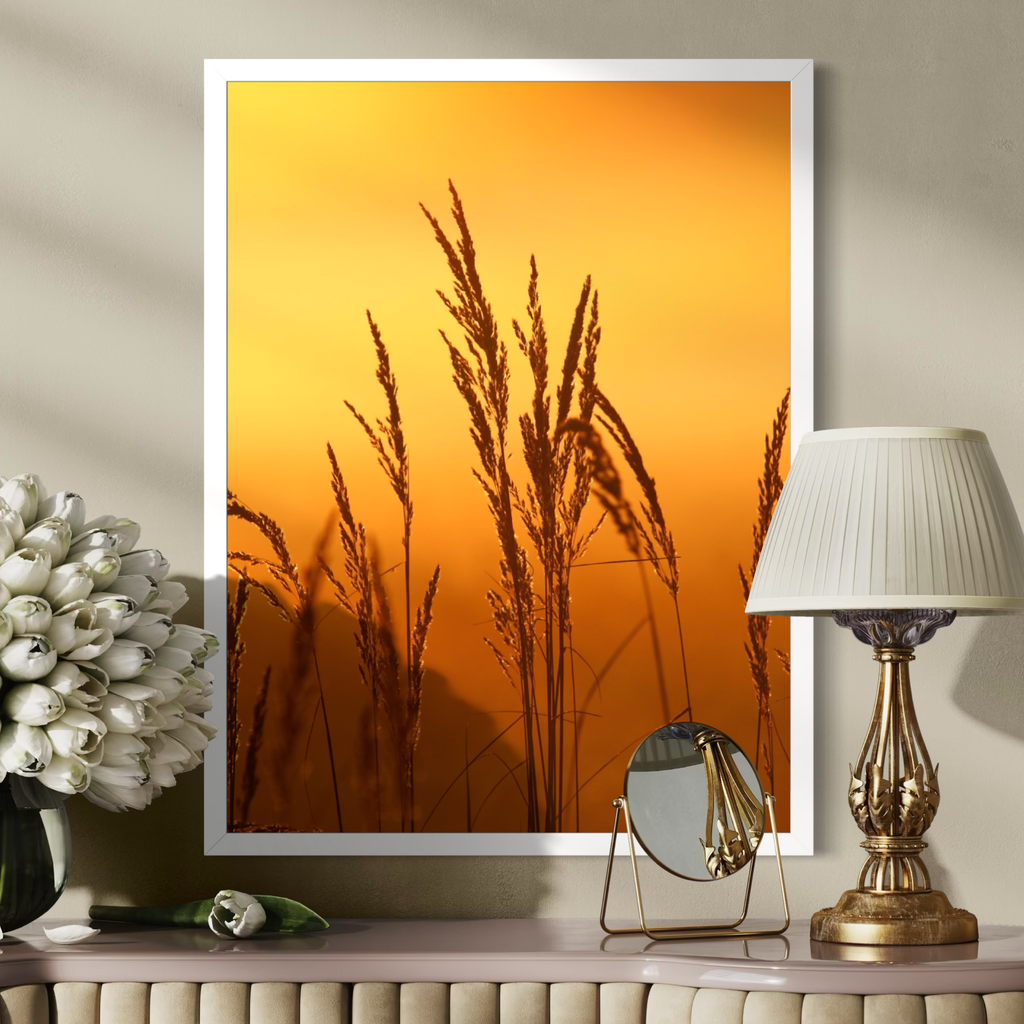 Sunset Reeds