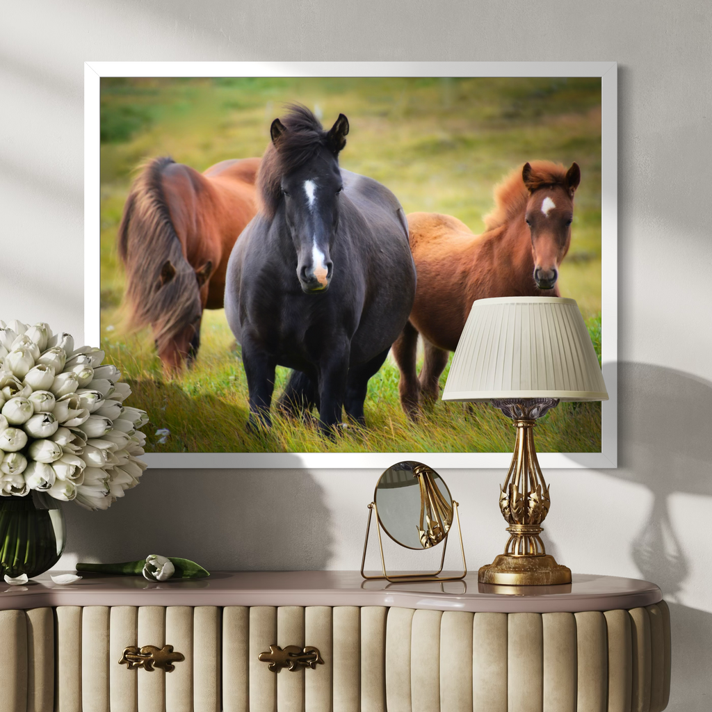 Meadow Companions