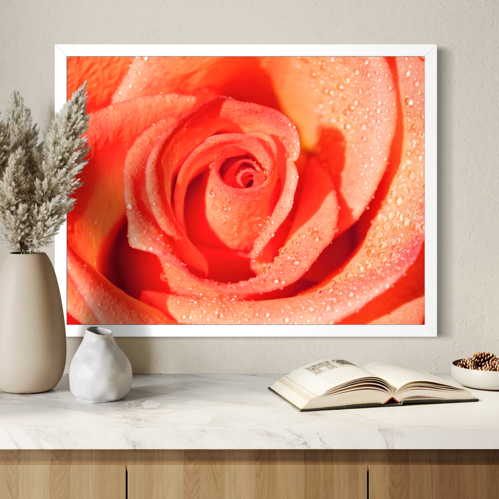 Coral Blush