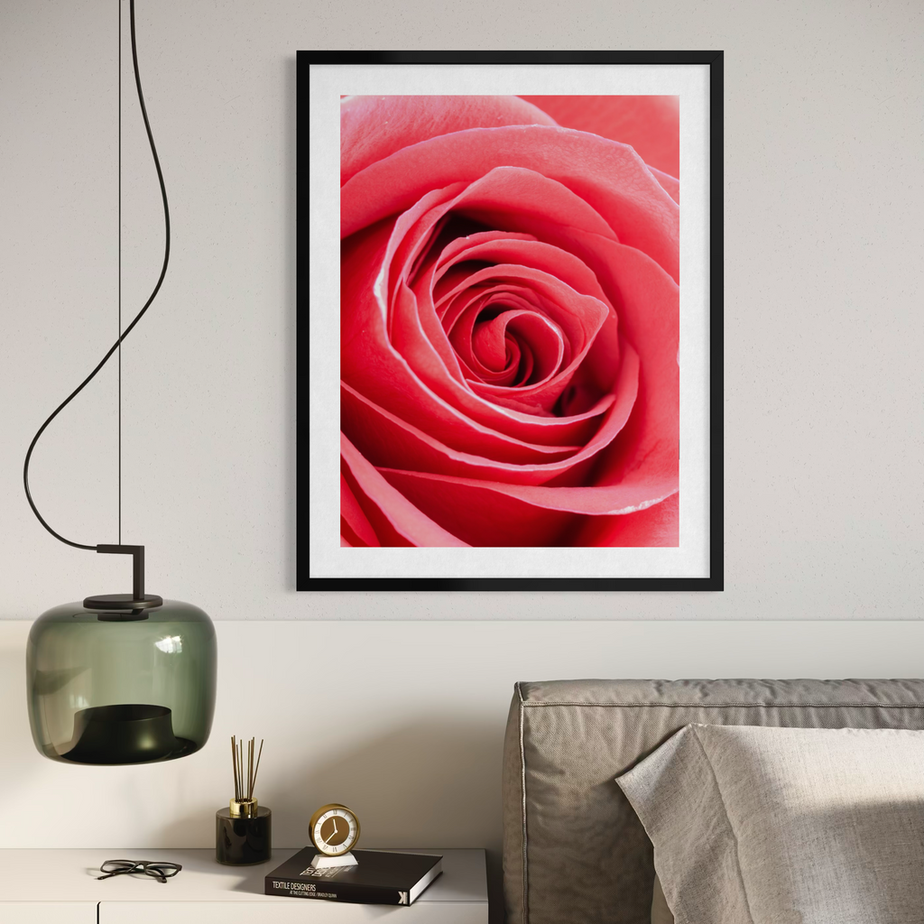 Espiral rosa