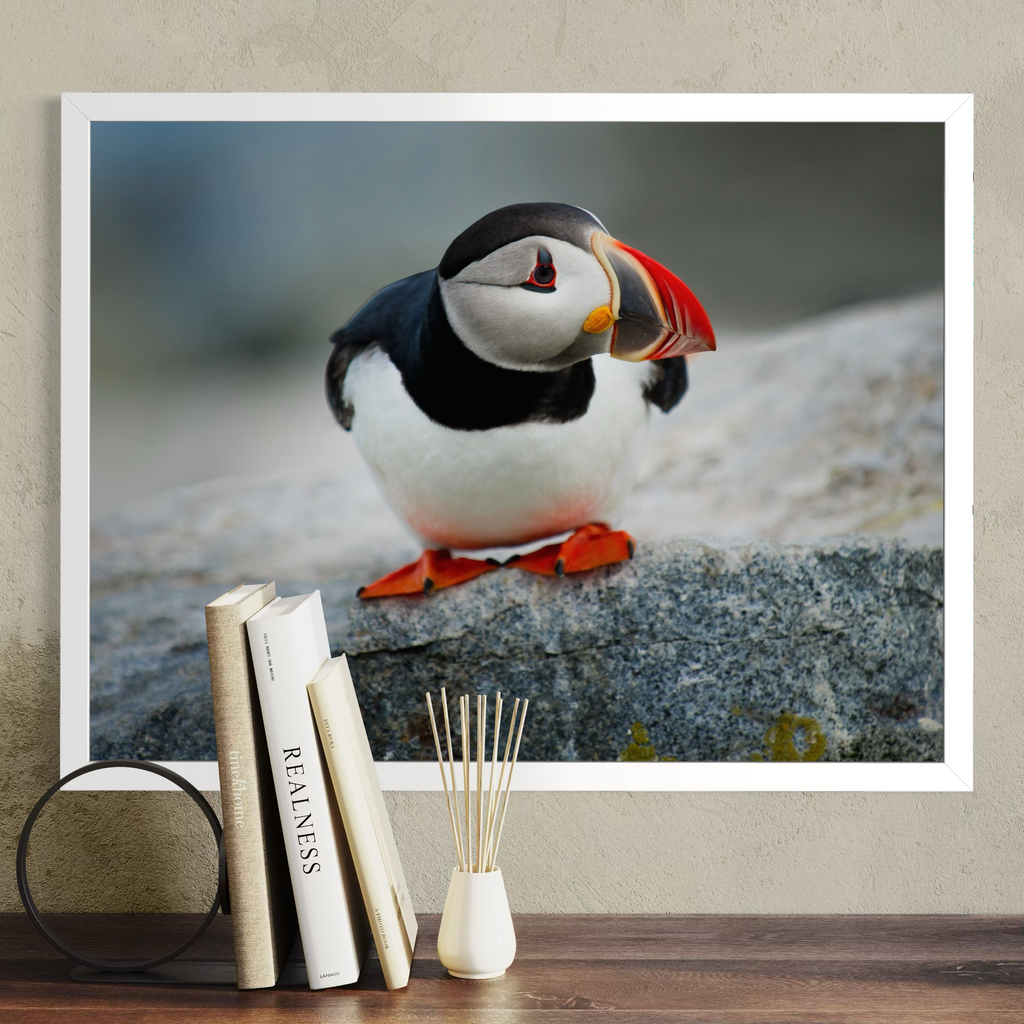 A framed photographic print of a puffin perched on a rock, displayed on a beige wall above a wooden surface with books and a reed diffuser in front.