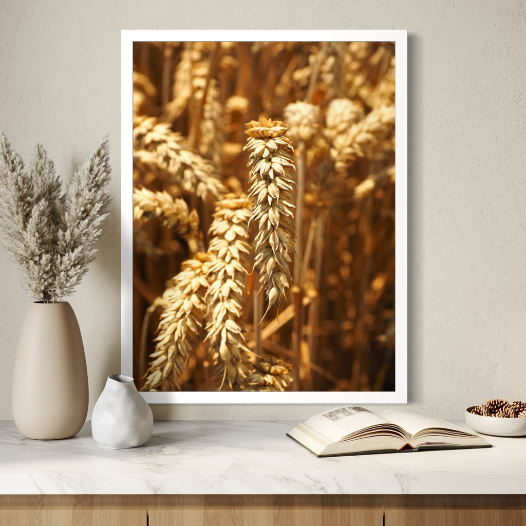 Field of Gold